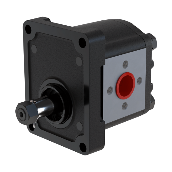 Cast Iron Body External Gear Pump Group 20 Cast Iron Body External Gear Pump Group 20
